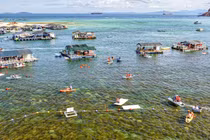 “Cánh đồng vàng” rong mơ làng chài Nhơn Hải hút du khách