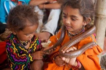 Bí ẩn của bộ tộc sống chung với rắn độc