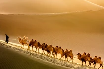 Vì sao con đường tơ lụa là hành trình nguy hiểm?