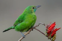 Ai sinh tháng Âm lịch này là người thắng trong cuộc sống