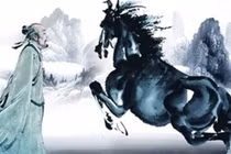 Vì sao nói: "Xem ngựa xem bốn vó, nhìn người nhìn tứ tướng?" 