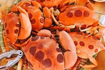 Loại cua lạ chỉ có ở Bình Thuận, 500.000/kg khách tranh nhau mua