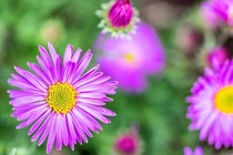 3 con giáp được quý nhân ủng hộ, tài sản cứ vơi lại đầy