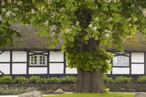 Những đại kỵ ngoài cửa sổ ảnh hưởng vận trạch, Thần Tài chán ghét