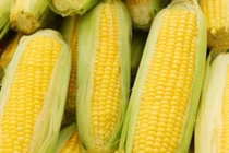 Ăn 6 loại thực phẩm này, bệnh dạ dày không dám đến cửa