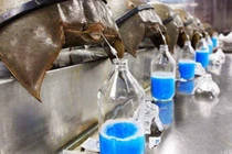 Loài hải sản sắp tuyệt chủng, máu của chúng giá hàng trăm triệu/lít