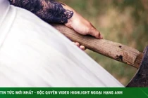 Bị bạn gái 67 tuổi chém gần chết vẫn đòi kết hôn