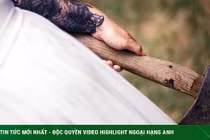 Bị bạn gái 67 tuổi chém gần chết vẫn đòi kết hôn