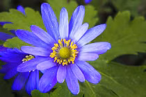 Ai sinh tháng Âm lịch này bề ngoài giản dị, tính cách khiên tốn