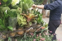 Cách ly chống dịch: Thêm một nghề doanh thu tăng vọt