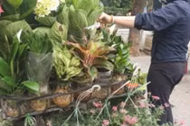 Cách ly chống dịch: Thêm một nghề doanh thu tăng vọt