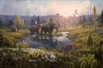 DNA 2 triệu năm tuổi có thể gợi về tương lai của Trái Đất?