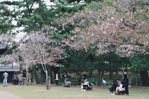 Lý do người Việt đổ xô đi du lịch nước ngoài