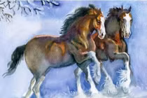 Top 3 con giáp thánh thiện, ở hiền gặp lành sinh phúc đức