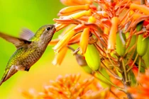 Ai sinh tháng Âm lịch này phúc lộc tràn đầy trong năm 2024 