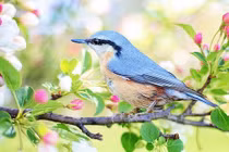 Cuối tháng 8 Âm, 3 con giáp chấm dứt đói nghèo, tiền bạc rủng rỉnh