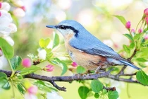 Cuối tháng 8 Âm, 3 con giáp chấm dứt đói nghèo, tiền bạc rủng rỉnh