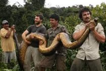 Video: Màn bắt trăn khồng lồ “rợn người” nhất hành tinh 