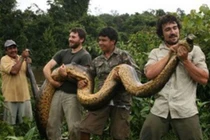 Video: Màn bắt trăn khồng lồ “rợn người” nhất hành tinh 