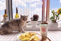 Chuyện sống tự lập cùng “boss” của chàng “ế” 9x gây bão mạng 