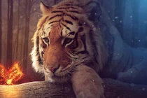 4 tuổi xấu nhất Nhầm Dần 2022 do phạm Thái Tuế, làm gì cũng bại