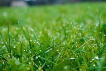 Thứ mà bạn không thể mua được cho dù bạn có giàu đến đâu