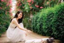 Giới trẻ thích thú khoe sắc bên hoa tường vi nở rộ