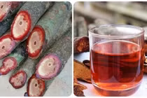 Uống cỏ máu có tốt không?