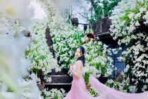 Thiếu nữ khoe sắc tinh khôi bên loài hoa tháng tư