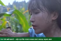 Từ bỏ công việc lương 1 triệu đồng, cô gái trẻ về quê kiếm triệu đô