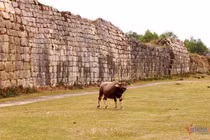 Vẻ đẹp bình dị bên trong Di sản Thế giới Thành nhà Hồ ở Thanh Hóa