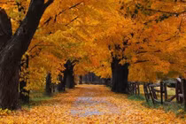 Sự thật thú vị sau loạt hình ảnh ai nhìn cũng thấy quen