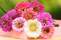 Người sinh vào 4 tháng Âm lịch này định sẵn giàu sang