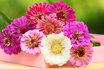 Người sinh vào 4 tháng Âm lịch này định sẵn giàu sang