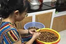 Bà nội trợ 62 tuổi thu nhập rủng rỉnh nhờ làm ruốc nấm