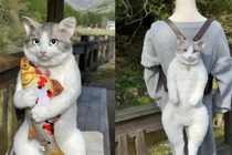 Tại sao món đồ này của bà nội trợ tuy đắt nhưng gây bão?