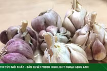 Ăn 10 thực phẩm này để giúp lá phổi khỏe mạnh hơn