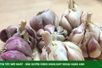 Ăn 10 thực phẩm này để giúp lá phổi khỏe mạnh hơn