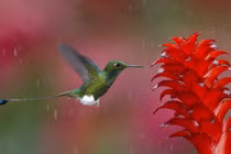 Người sinh ngày Âm lịch này am hiểu kiếm tiền, trung niên giàu có