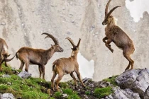 Cuối tháng 10 âm, 3 con giáp Thần Tài gọi tên, tiền chật ví