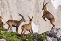 Cuối tháng 10 âm, 3 con giáp Thần Tài gọi tên, tiền chật ví