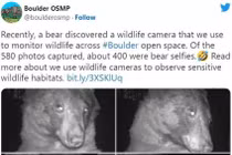 Gấu hoang dã nổi tiếng mạng xã hội với gần 500 tấm ảnh selfie