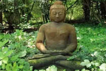 Con người khi gặp xui xẻo, hãy tuân thủ năm điều này