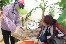 Bắt cáy về bán kiếm tiền triệu dễ như chơi