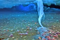 Top 10 hiện tượng kỳ thú của đại dương