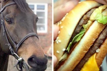 Dân châu Âu phẫn nộ khi bị lừa ăn thịt ngựa giá thịt bò