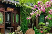 5 loài cây cảnh vừa đẹp vừa thơm lại đuổi muỗi “cực mạnh“