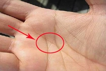 4 dấu hiệu trong lòng bàn tay chứng tỏ số phú quý giàu sang