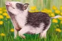 Quý Mão 2023 ai đen mặc ai: 3 tuổi gặp dữ hóa lành, giàu khủng 