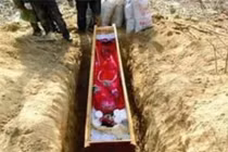 Cô dâu 5 tuổi mặc váy cưới dát vàng trong ngôi mộ cổ